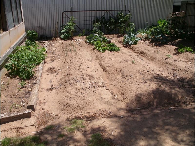 98 Hannon Street, Sea Lake VIC 3533