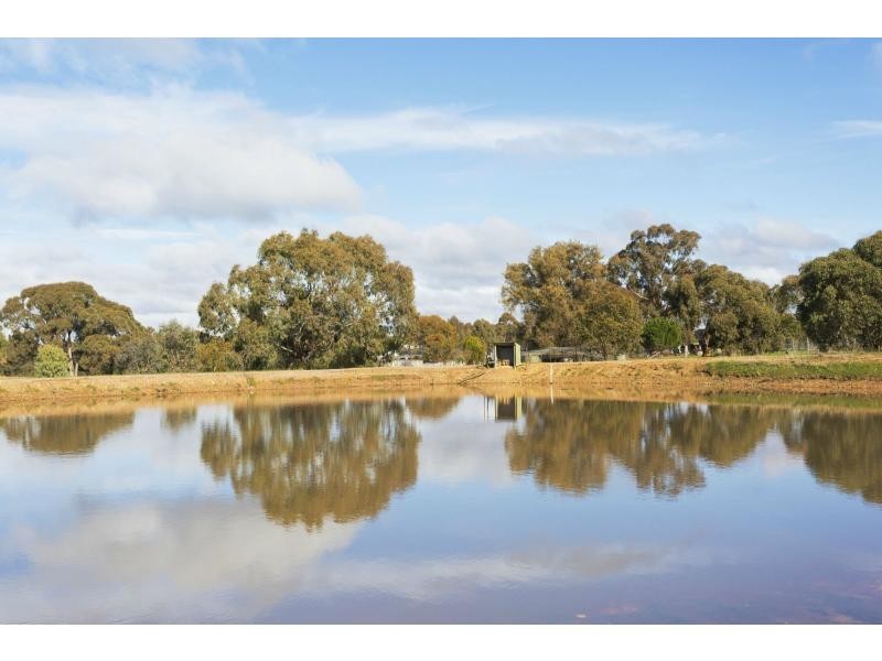 349 Waanyarra Road, Dunolly VIC 3472