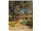 22 St Arnaud Road Road, Wedderburn VIC 3518