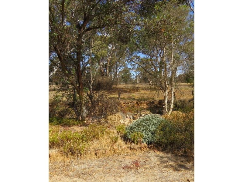 22 St Arnaud Road Road, Wedderburn VIC 3518