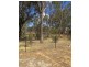 22 St Arnaud Road Road, Wedderburn VIC 3518