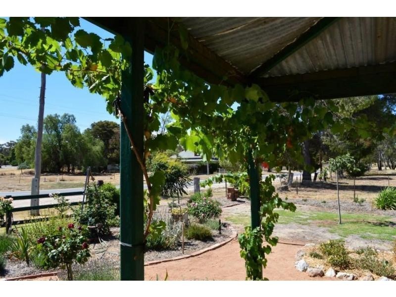 22 St Arnaud Road Road, Wedderburn VIC 3518