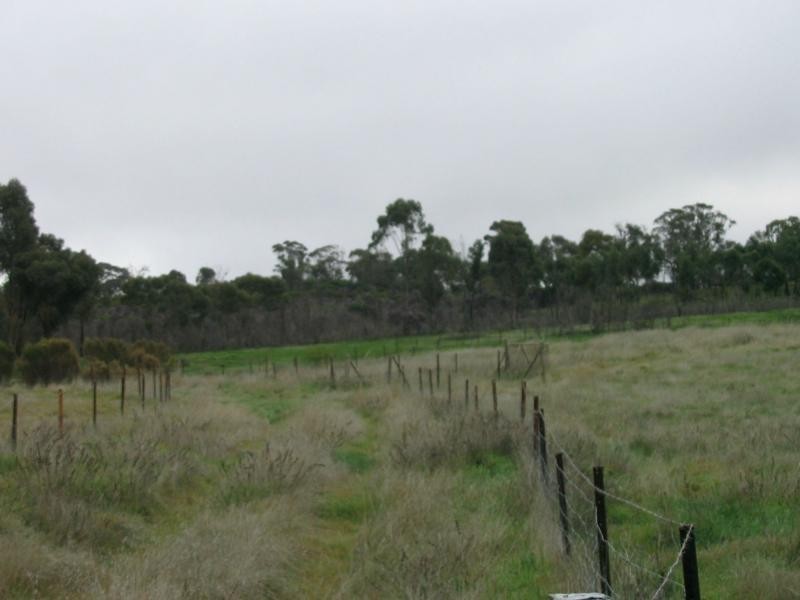 20 Josephine Drive, Wedderburn VIC 3518