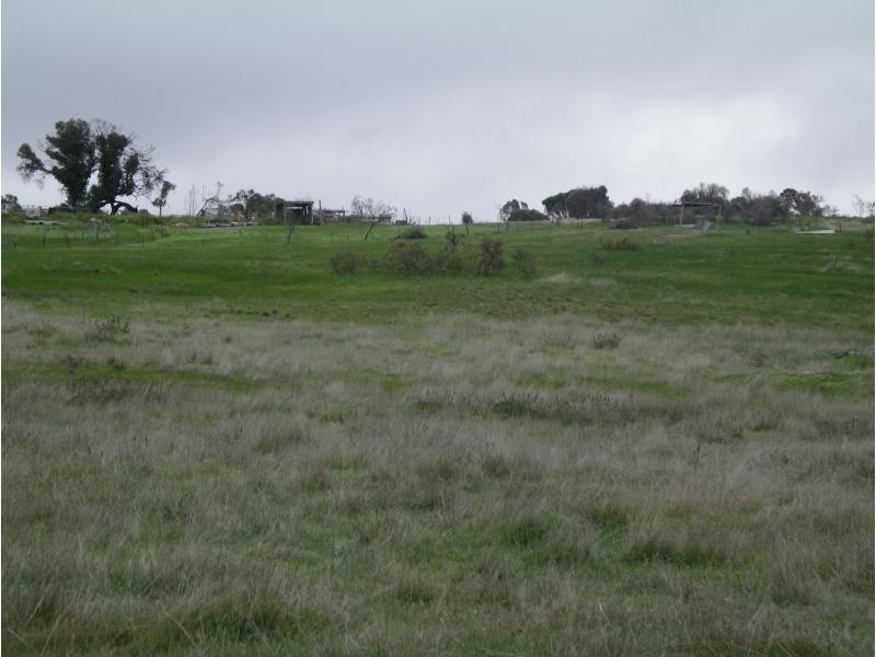 20 Josephine Drive, Wedderburn VIC 3518