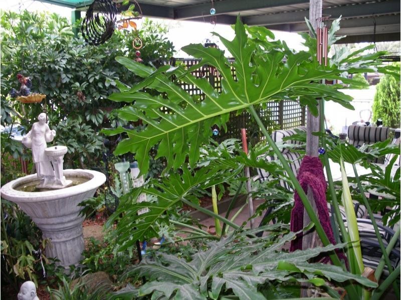 32 Averys Road, Eaglehawk VIC 3556