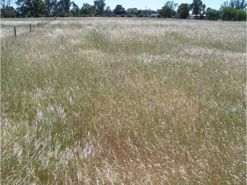 Lot 8 Redwood Street, Bridgewater VIC 3516