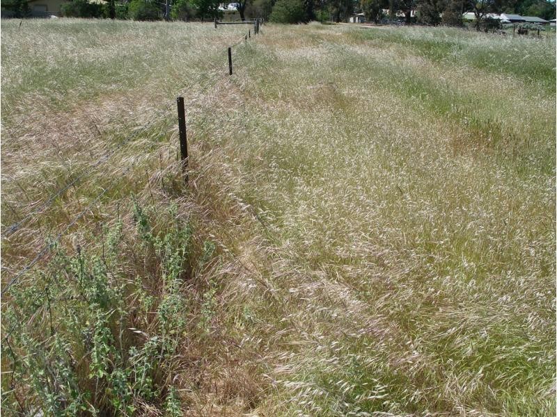 Lot 8 Redwood Street, Bridgewater VIC 3516