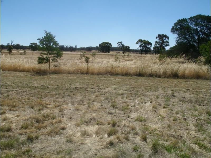 20 Nelson Street, Newbridge VIC 3551