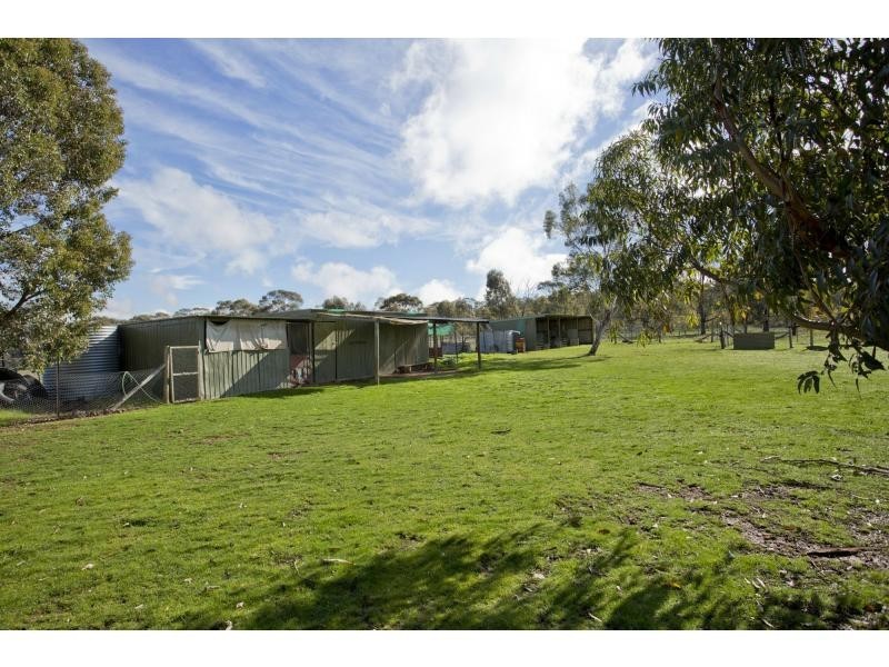 349 Waanyarra Road, Dunolly VIC 3472