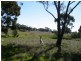 50 Eucy Road, Korong Vale VIC 3520