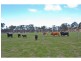 157 Gannaway Road, Sebastian VIC 3556