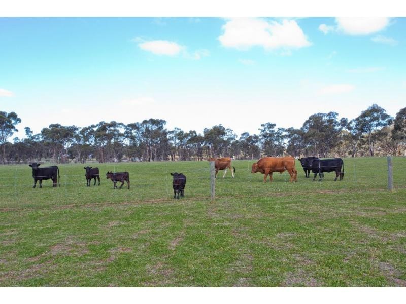 157 Gannaway Road, Sebastian VIC 3556