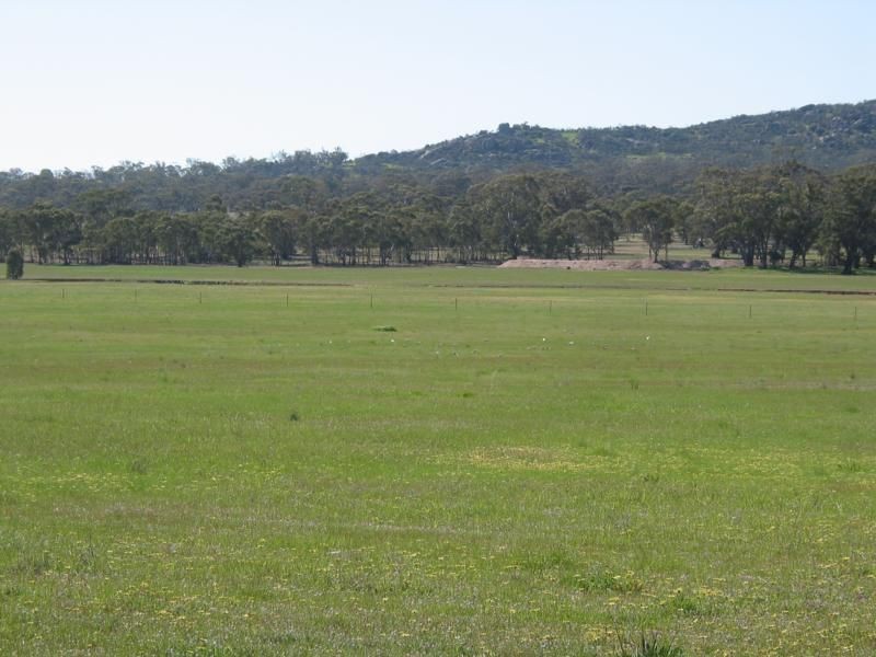 539 Old Boort Road, Korong Vale VIC 3520