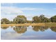 349 Waanyarra Road, Dunolly VIC 3472