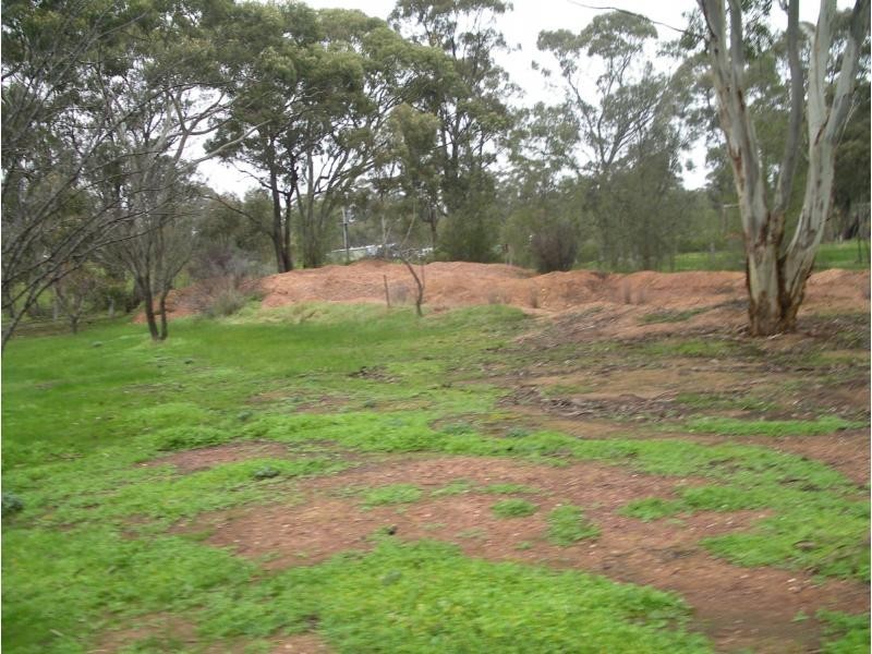 124 Nine Mile Road, Wedderburn VIC 3518