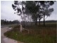 Lots 2 & 3 Josephine Drive, Wedderburn VIC 3518