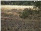 Lots 2 & 3 Josephine Drive, Wedderburn VIC 3518