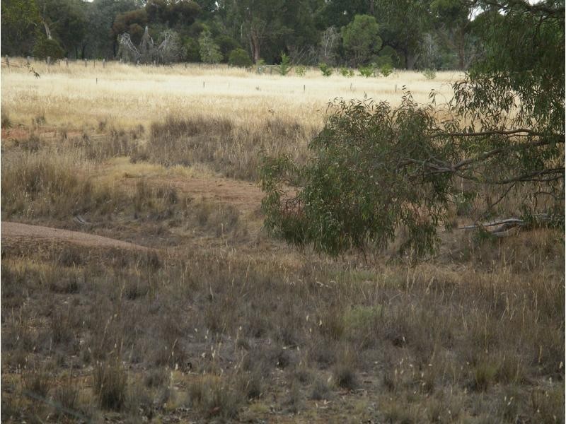 Lots 2 & 3 Josephine Drive, Wedderburn VIC 3518