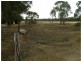 Lots 2 & 3 Josephine Drive, Wedderburn VIC 3518