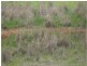 Lots 2 & 3 Josephine Drive, Wedderburn VIC 3518