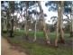 50 Specimen Road, Wedderburn VIC 3518