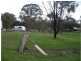 50 Specimen Road, Wedderburn VIC 3518