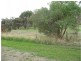 6 Ridge Street, Wedderburn VIC 3518