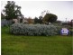 50 Hospital Street, Wedderburn VIC 3518