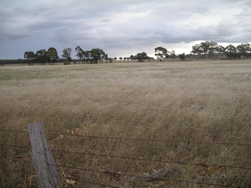 22 Triangle/Diagonal Road, Newbridge VIC 3551