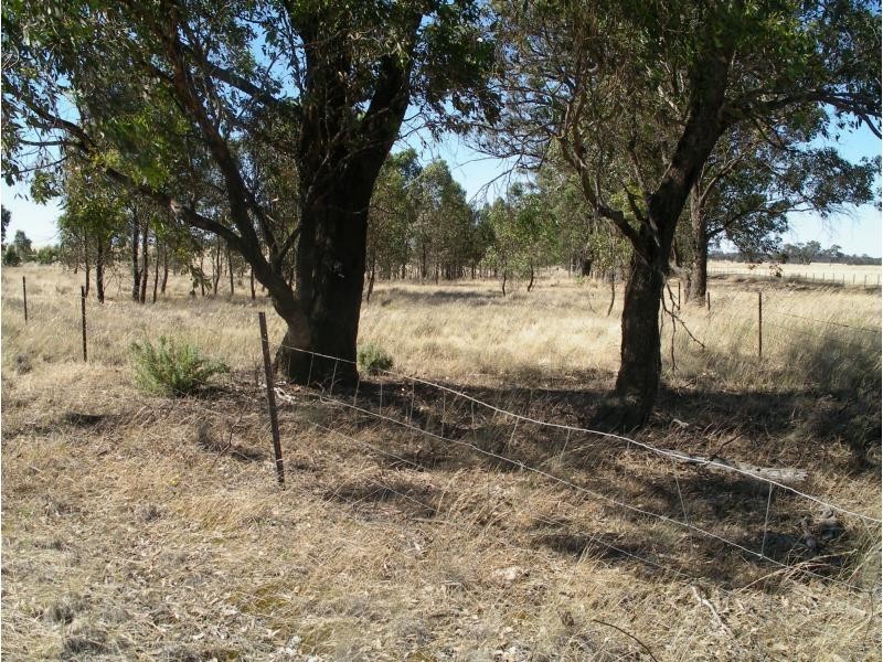 22 Triangle/Diagonal Road, Newbridge VIC 3551