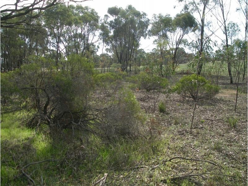 1 Monument Drive, Wedderburn VIC 3518