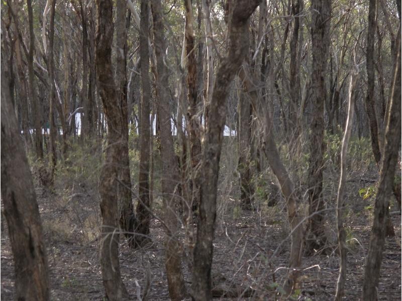 L96W Osterfield Road, Woodvale VIC 3556