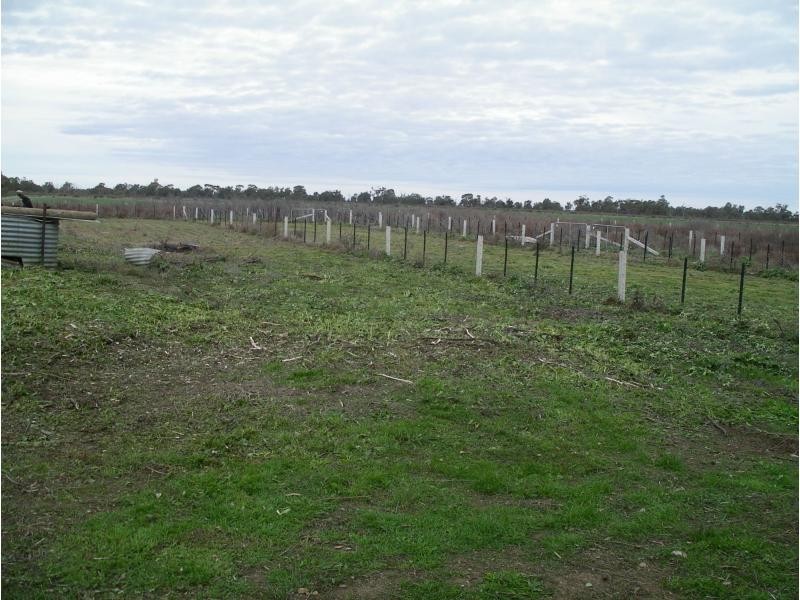 1229 Appin South Road, Kerang VIC 3579