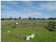 L2 Butts Road, Korong Vale VIC 3520