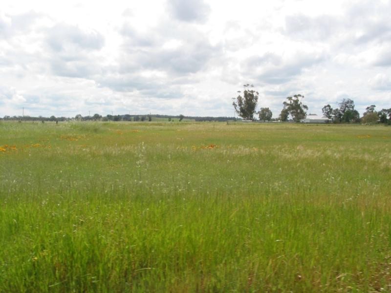 L1 Butts Road, Korong Vale VIC 3520