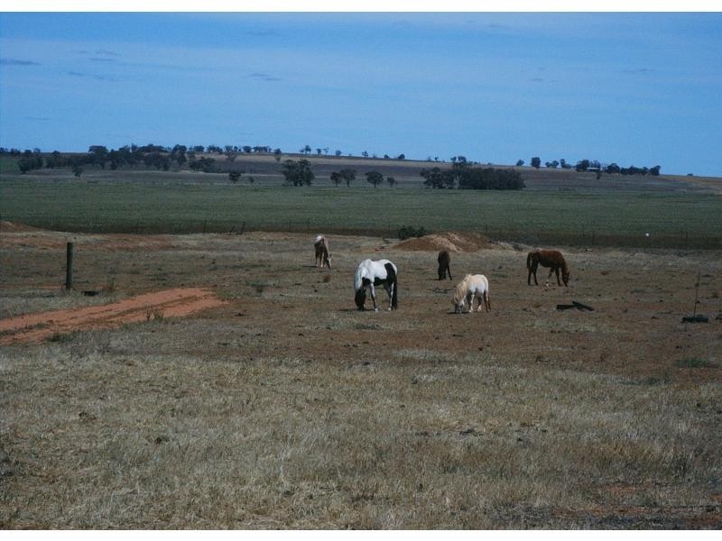 60 Ferris Road, Terrick Terrick VIC 3575