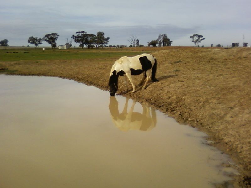 60 Ferris Road, Terrick Terrick VIC 3575