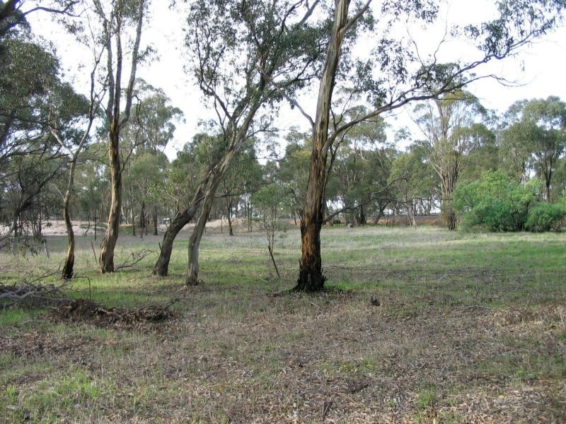 210 Eddington Tarnagulla Road, Laanecoorie VIC 3463