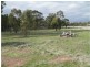 46 Williams Road, Eaglehawk VIC 3556