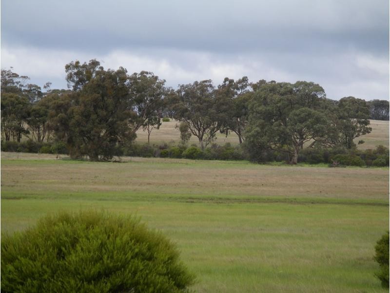 CA71 Eucy Road, Korong Vale VIC 3520