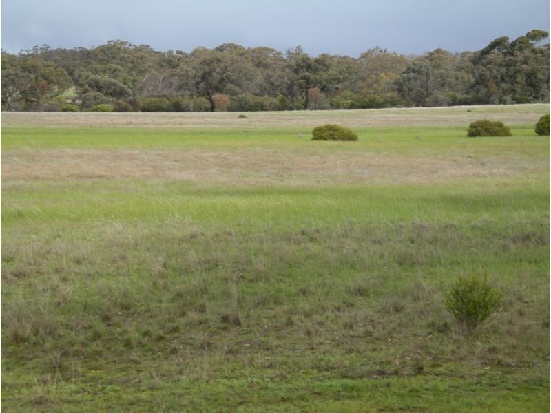 CA71 Eucy Road, Korong Vale VIC 3520