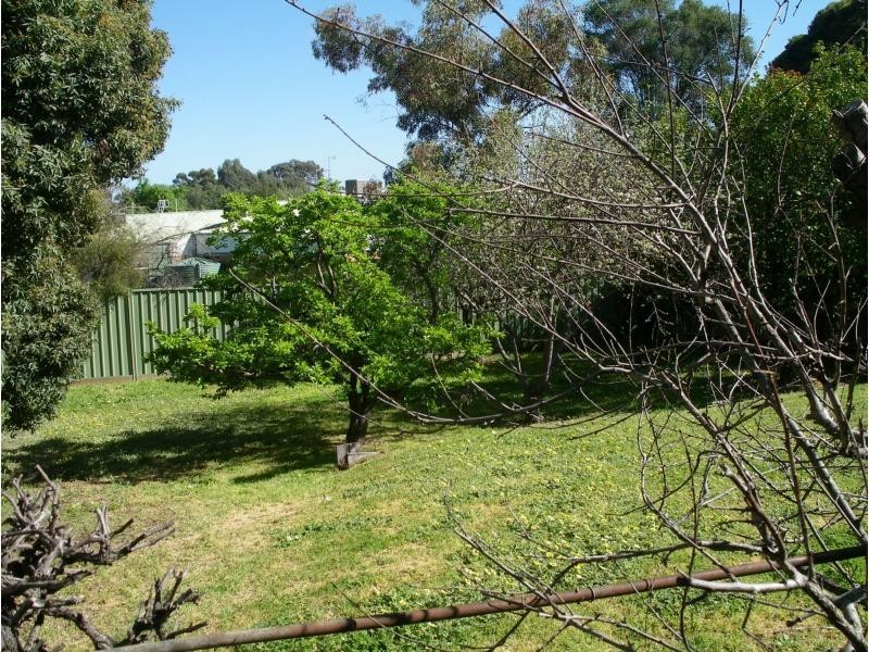 45 Raglan Street, White Hills VIC 3550