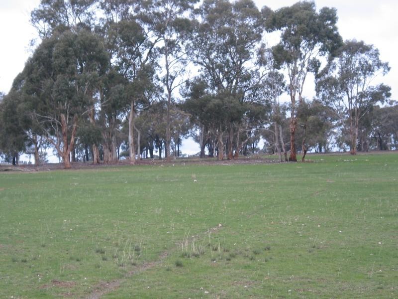 1 Murphys Lane, Toolleen VIC 3551