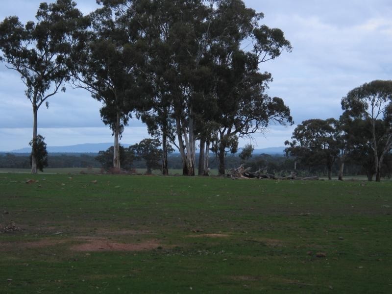 1 Murphys Lane, Toolleen VIC 3551