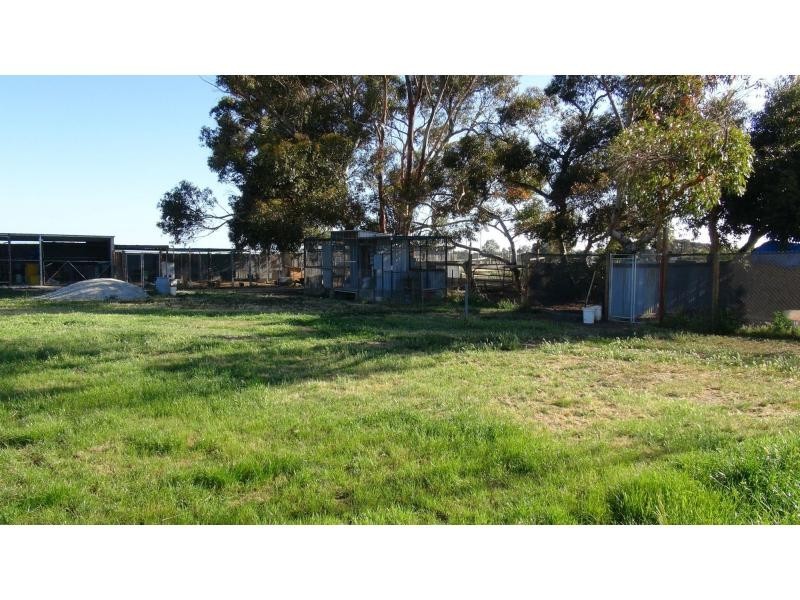 8267 Loddon Valley Highway, Durham Ox VIC 3576