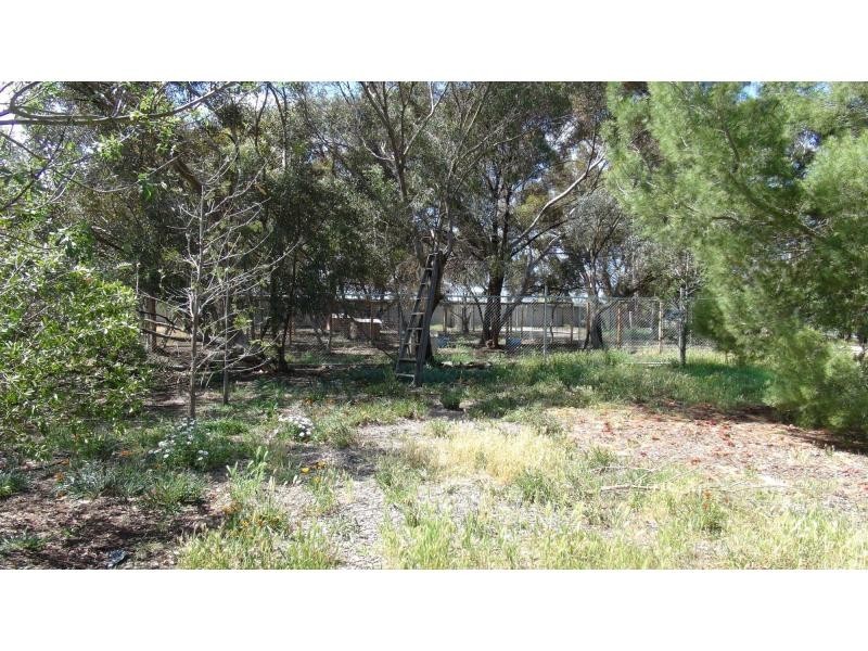 8267 Loddon Valley Highway, Durham Ox VIC 3576