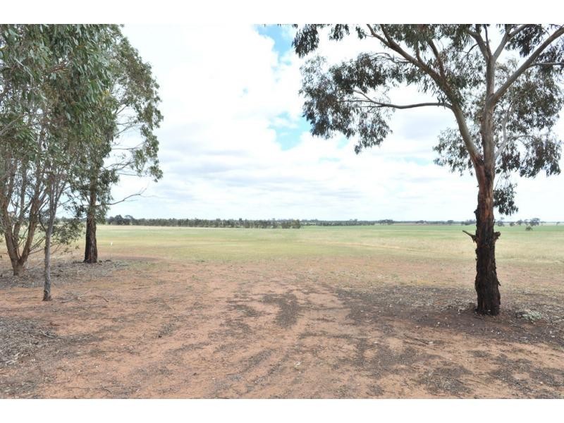 117 McQualters Road, Raywood VIC 3570