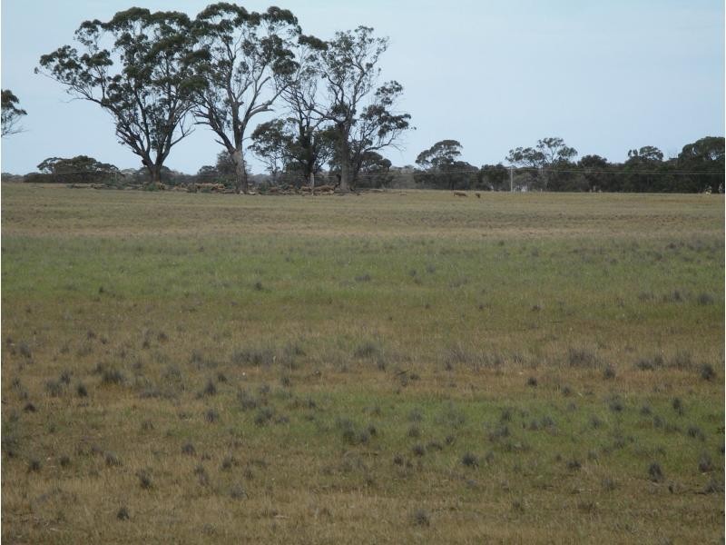 L1 Korong Vale Wychitella Road, Woolshed Flat VIC 3518