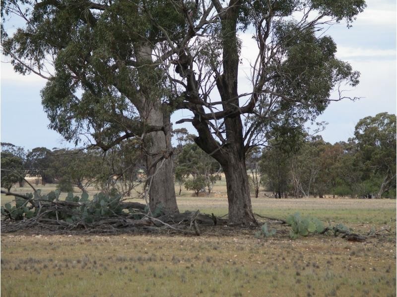 L1 Korong Vale Wychitella Road, Woolshed Flat VIC 3518