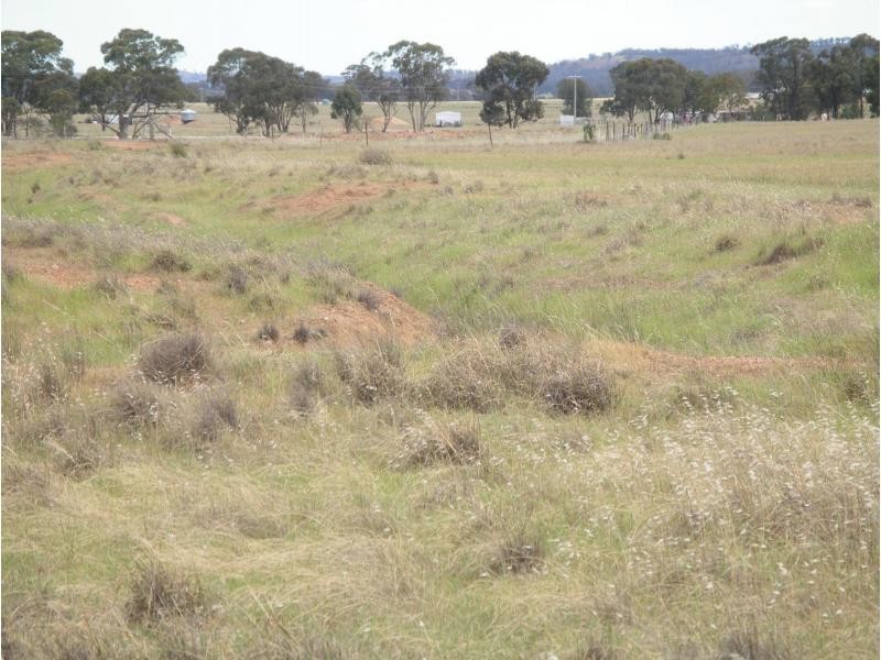 L1 Korong Vale Wychitella Road, Woolshed Flat VIC 3518